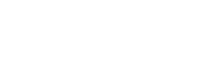 Millenium Properties France