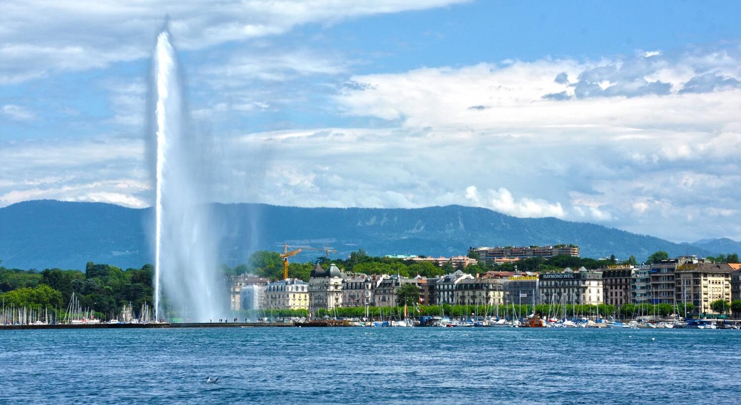 agence immobilière haut de gamme en France